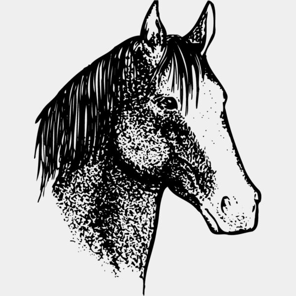 HORSE046 Thumbnail