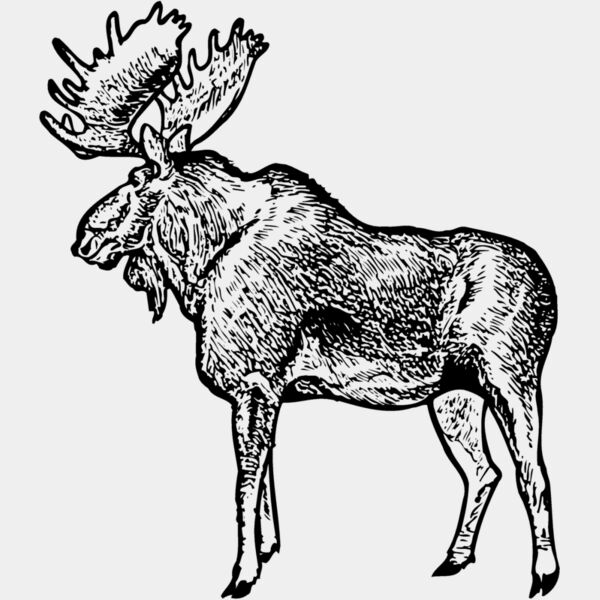 MOOSE004 Thumbnail