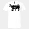3005 - BELLA +CANVAS Unisex Jersey Short-Sleeve V-Neck T-Shirt Thumbnail