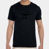 G640 - Gildan Adult Softstyle® 4.5 oz T-Shirt Thumbnail